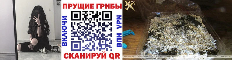 Псилоцибиновые грибы Psilocybine cubensis  kraken вход  Городовиковск  купить  сайты 